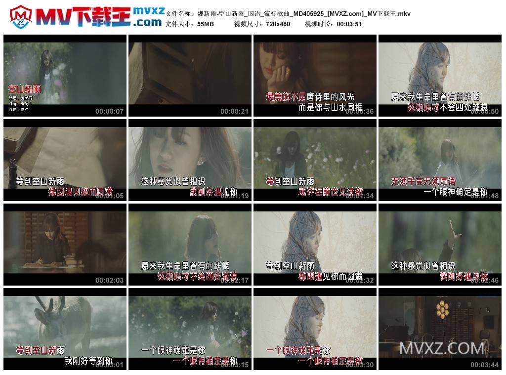 魏新雨-空山新雨_国语_流行歌曲_MD405925
